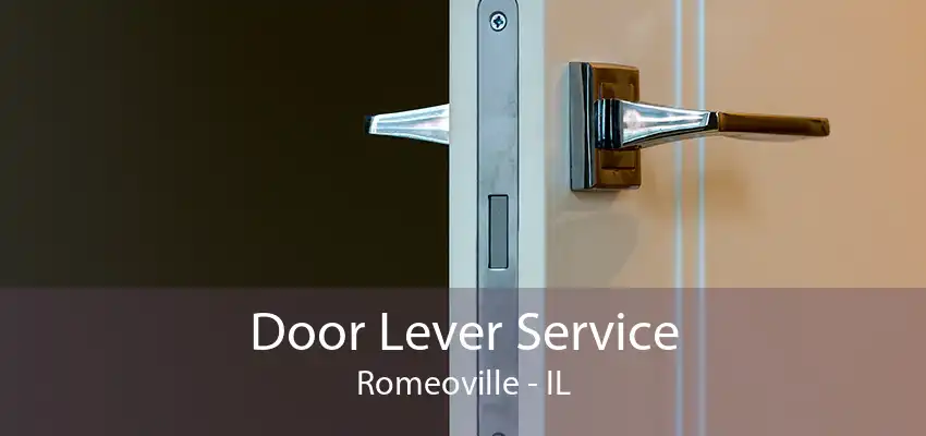 Door Lever Service Romeoville - IL